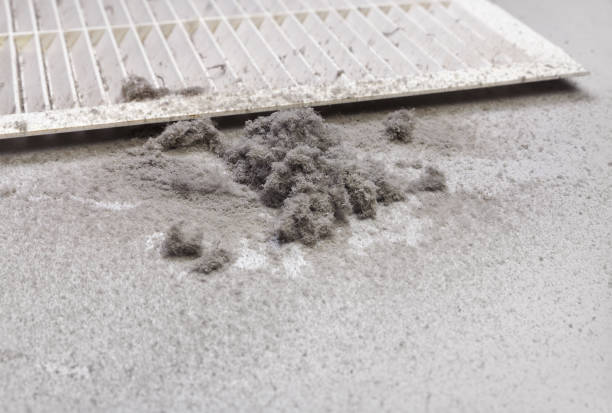 Best Air Duct Sanitizing Services  in Goodyear, AZ