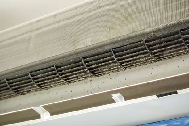 Best HVAC Air Duct Cleaning  in Goodyear, AZ